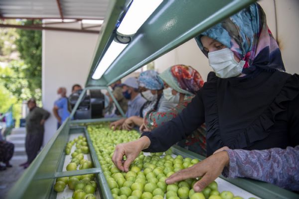 Erik Cenneti Mut�a Mersin B�y�k�ehir�den Makine Deste�i