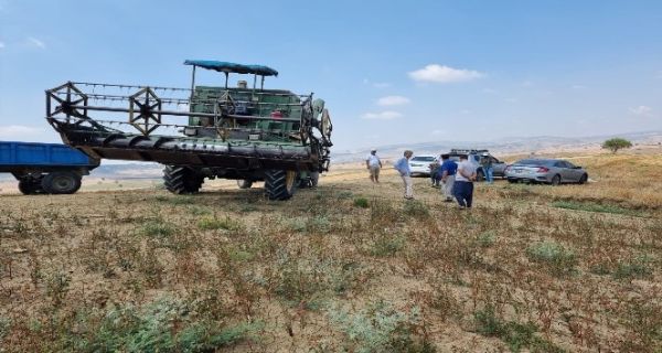 Tarsus’ta Karabu�day Hasad�