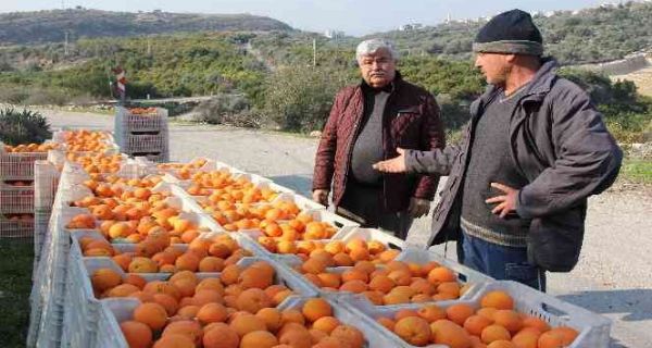 Dalnda 1,5 Liraya Satt; Zincir Markette Fiyat 5,90 Liraya Frlad