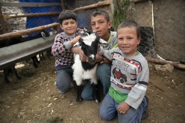 Bykehirin Haydi Gel Kymze Destek Verelim Projesi Yeni Doumlarla Bereketleniyor