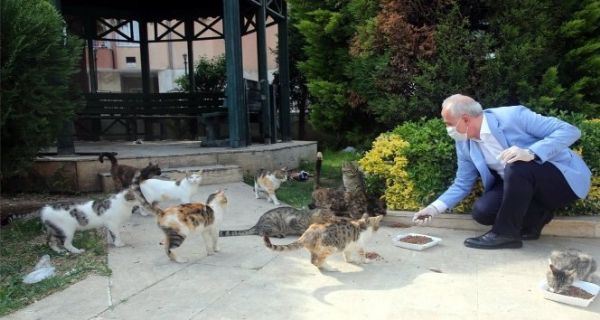 Akdeniz’deki parklara sokak hayvanlar iin uyarc levhalar dikildi