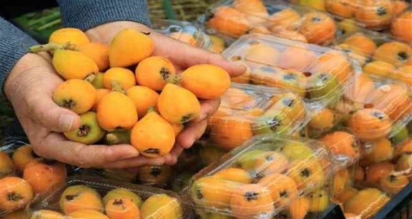 Ba�kan �zyi�it�ten SMA Hastas� Ya�mur Deniz ��in Destek �a�r�s� 