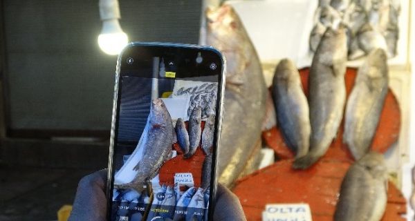 K�pek bal��� de�il halili