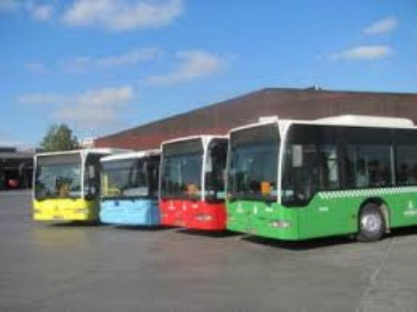 Mersinliler sar�y� se�ti