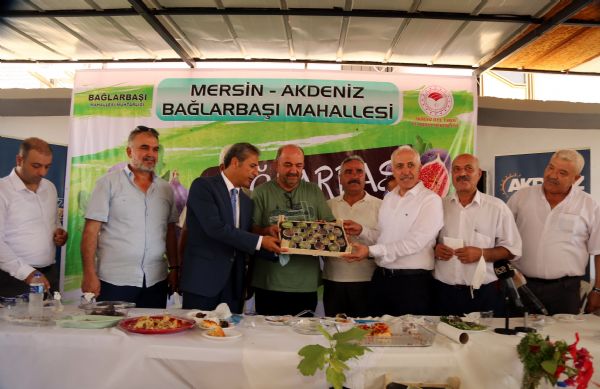 Ba�larba���nda Y�l�n ��lk Siyah �ncir Hasad�� Ba�lad�