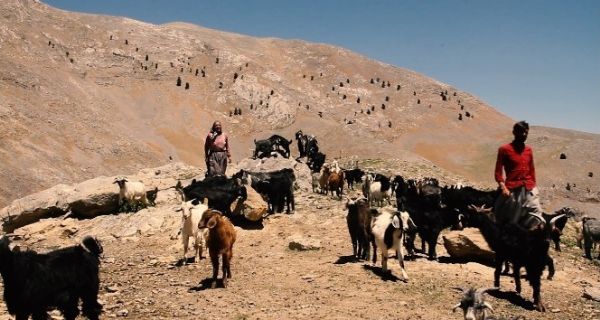 Bolkar Da�lar�n�n konarg��er Y�r�klerinin ya�am� belgesel oldu