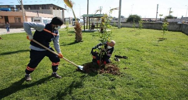 Akdeniz’deki parklar bakmdan geiriliyor