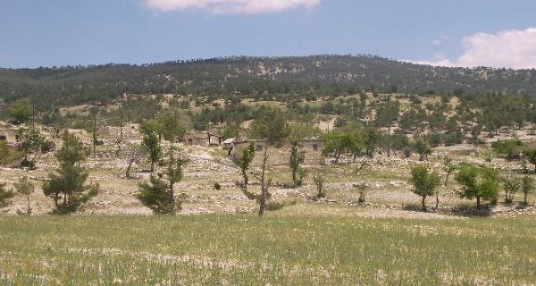 Kumaukuru mahallesi sakinleri, susuzluk yznden kylerini terk ediyor