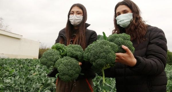 ��renciler hem �retiyor, hem de kazan�yor