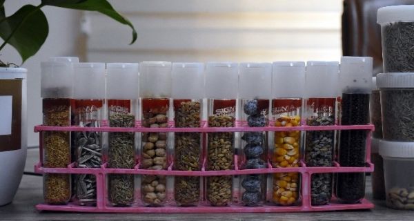 Tarsus’tan �stanbul’a TUB�TAK projesi i�in 1 milyon tohum