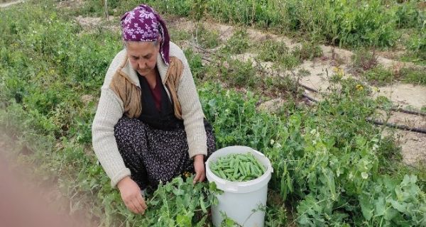 Araka hasad� 2 ay �nce ba�lad�