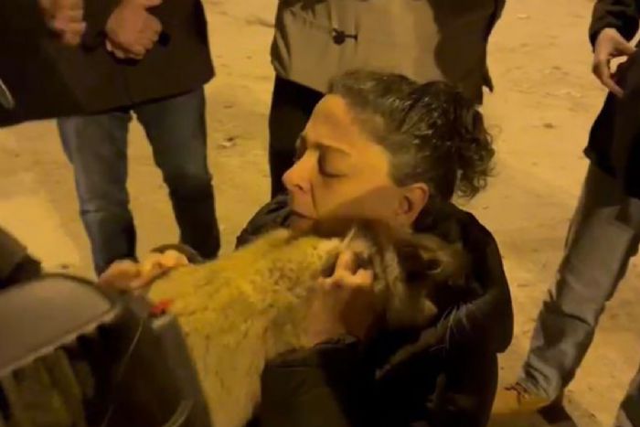 Diyarbakr’da 17 gndr enkazda olan 2 kedi kurtarld