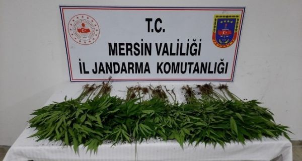 Tarsus’ta uyuturucu operasyonunda 2 tutuklama