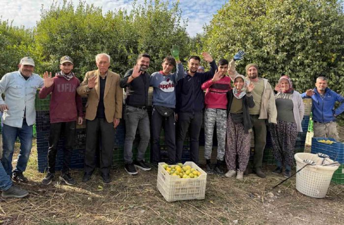 Binlerce ailenin ge�im kayna�� limonun ba�kentinde hasat zaman�