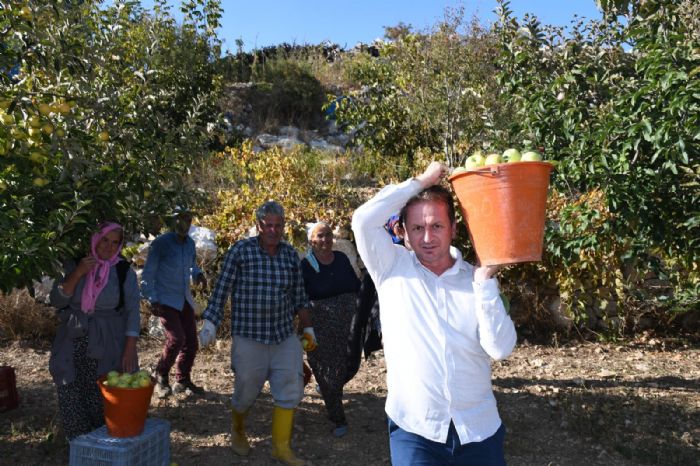 LK BAKANDAN, ELMALAR GLNAR’DAN