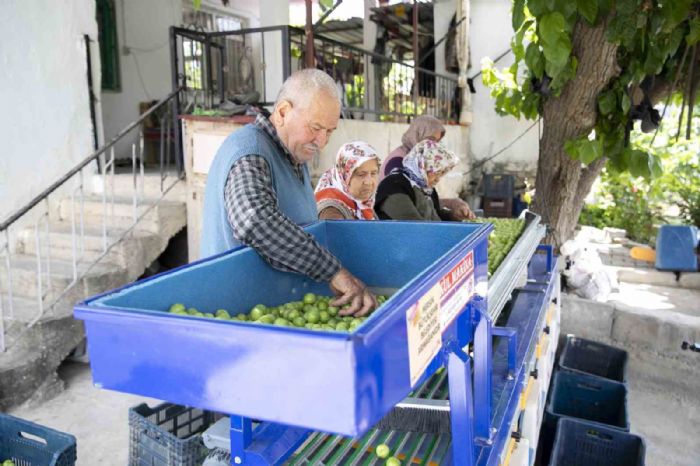 Bykehir Belediyesinden Mutlu reticilere erik boylama makinesi destei